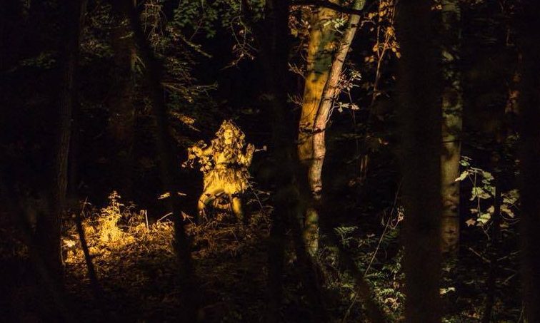 A Magical figure in the woods - in a Rusticus Lantern walk