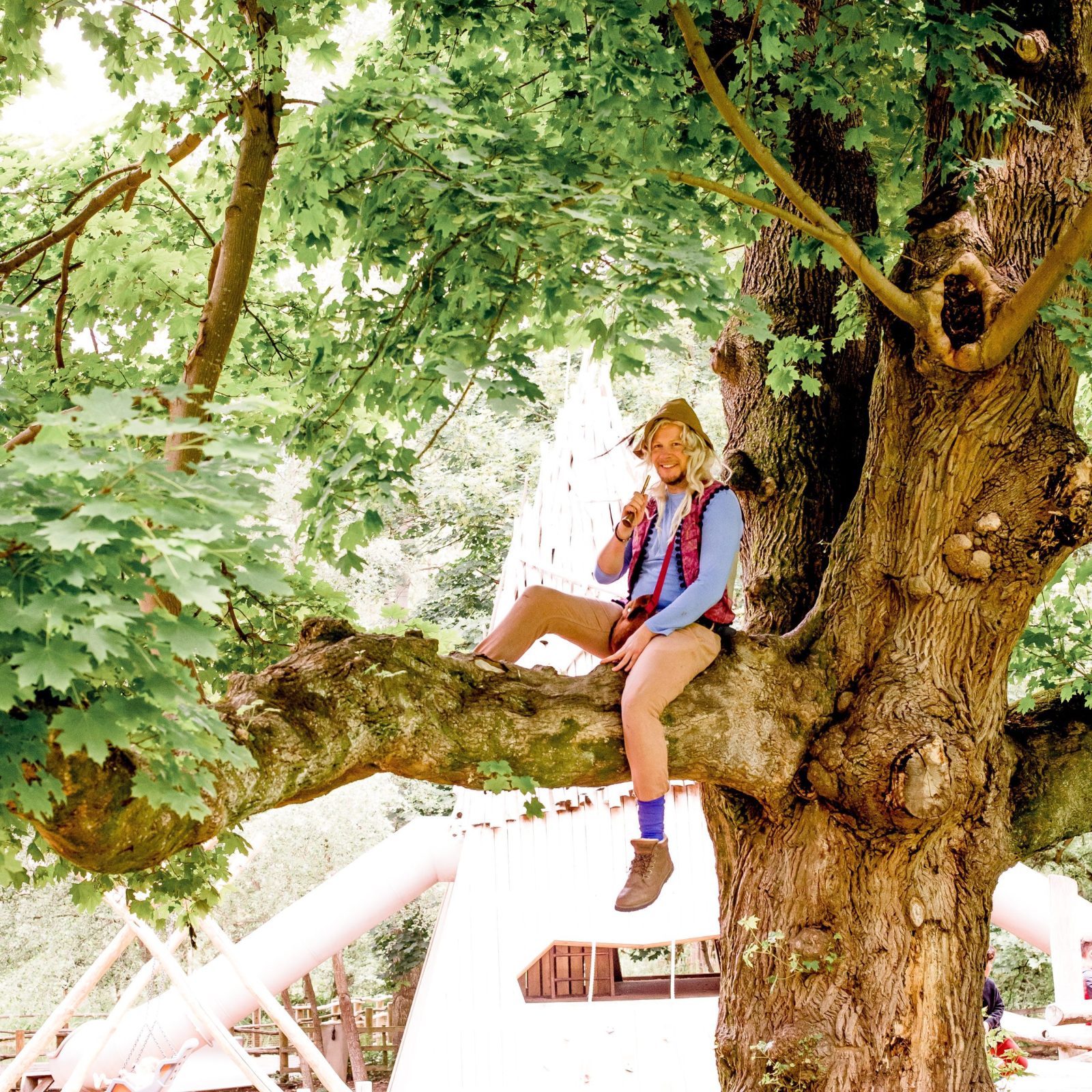 Oaken in the tree