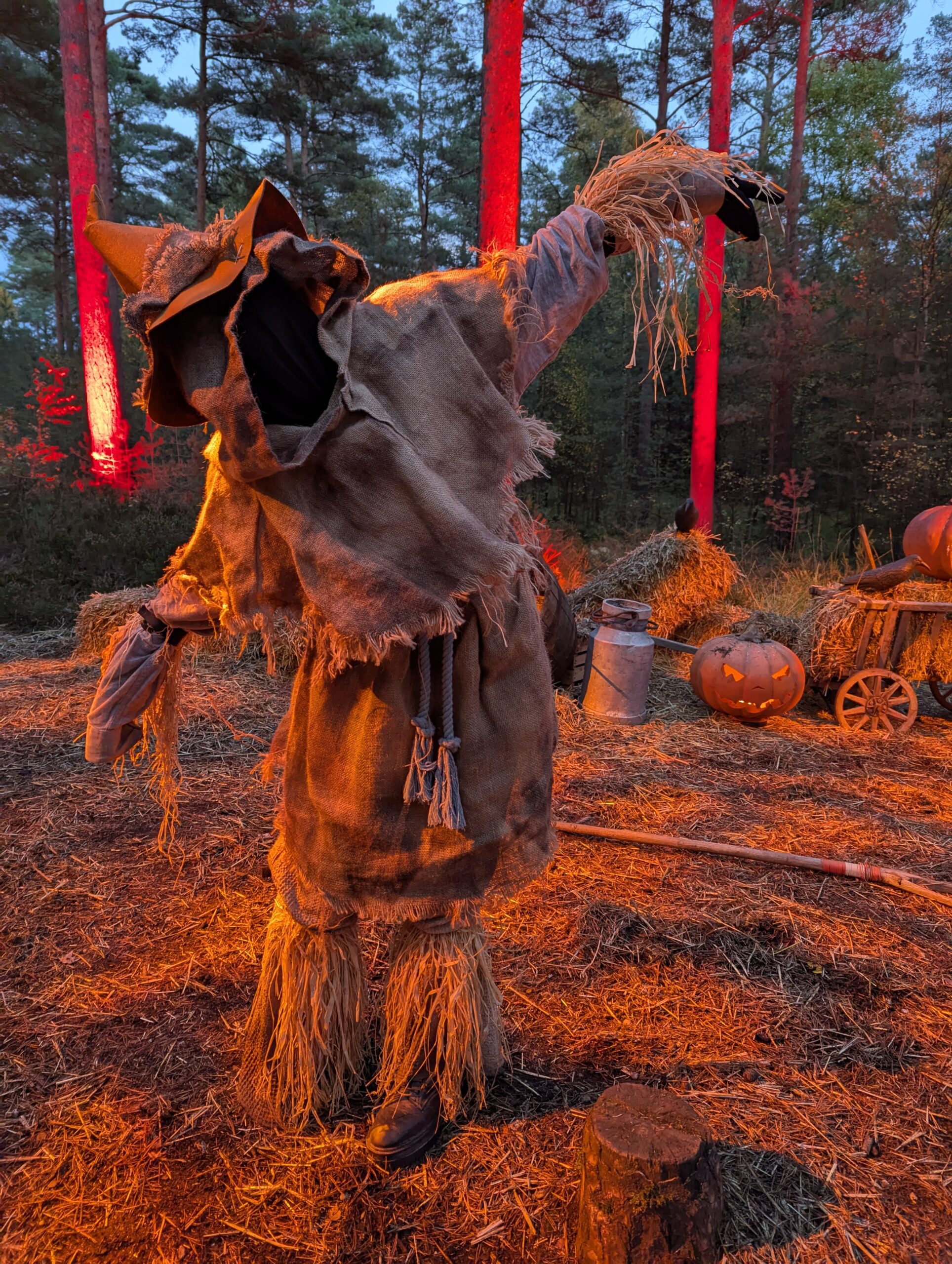 Witchfinders at Sarehole Mill Pumpkin Flotilla